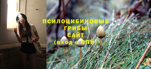 мяу мяу мука Куйбышев