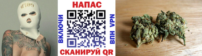 ссылка на мегу ссылка  продажа наркотиков  Бердск  Канабис ГИДРОПОН 